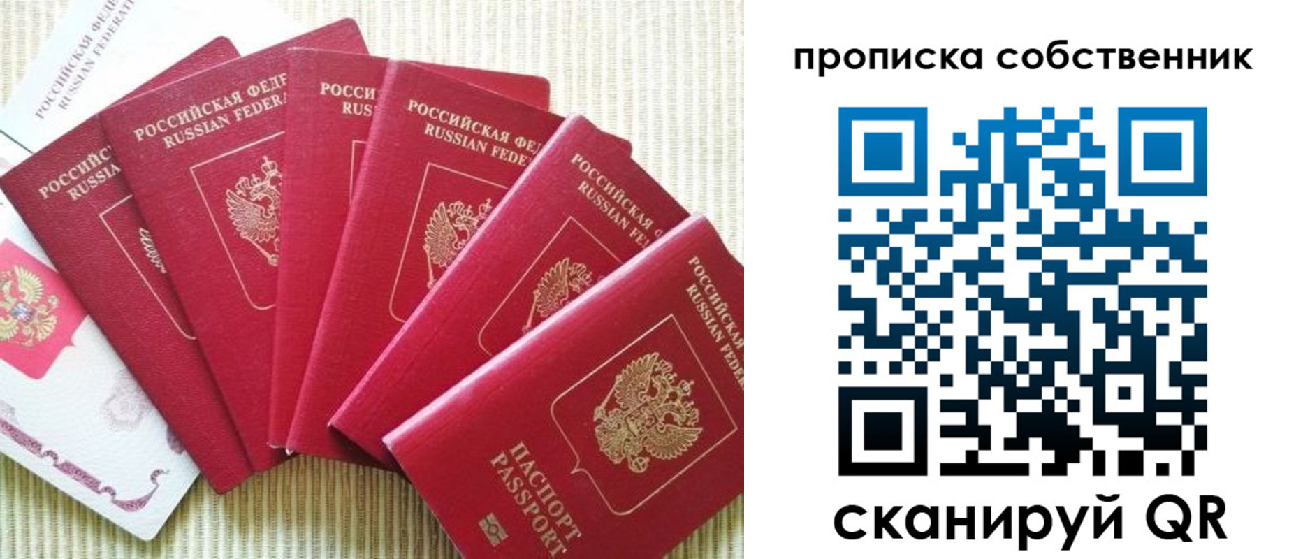 прописка в Вязьме